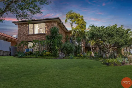 39 David Avenue, East Maitland, NSW 2323