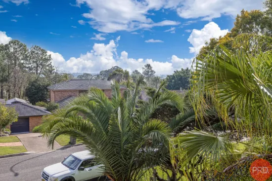 39 David Avenue, East Maitland, NSW 2323-Image