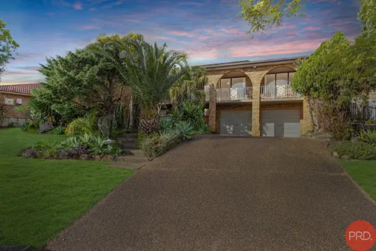 39 David Avenue, East Maitland, NSW 2323-Image