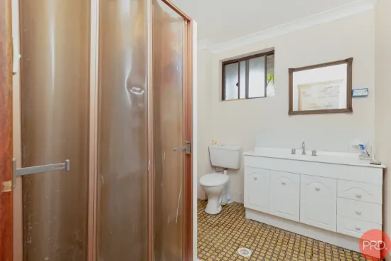 39 David Avenue, East Maitland, NSW 2323-Image