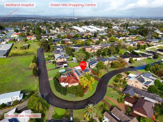 39 David Avenue, East Maitland, NSW 2323-Image
