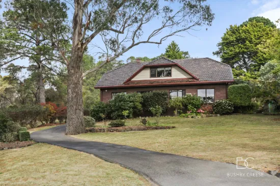 39 Denison Road, West Launceston, Tas 7250