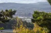 39 Denison Road, West Launceston, Tas 7250-Image