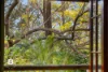 39 Fiona Street, Bellbird Park, Qld 4300-Image