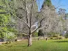 39 Garland Road, Bundanoon, NSW 2578-Image