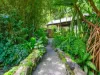 39 Hardwick Street, Stratford, Qld 4870-Image