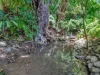 39 Hardwick Street, Stratford, Qld 4870-Image