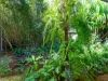 39 Hardwick Street, Stratford, Qld 4870-Image