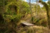 39 Illoura Grove, Karana Downs, Qld 4306-Image