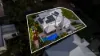 39 Impeccable Circuit, Coomera Waters, Qld 4209-Image