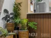 39 Innes Crescent, Bundamba, Qld 4304-Image