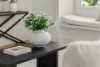 39 James Street, Girards Hill, NSW 2480-Image