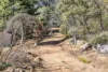 39 Jerrara Drive, East Jindabyne, NSW 2627-Image