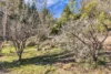 39 Jerrara Drive, East Jindabyne, NSW 2627-Image