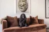 39 John Street, Woollahra, NSW 2025-Image