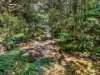 39 Junee Road, Maydena, Tas 7140-Image