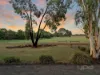 39 Killarney Drive, Melton, Vic 3337-Image