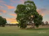 39 Killarney Drive, Melton, Vic 3337-Image