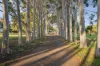 39 Kings Row, Baskerville WA 6056-Image