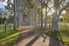 39 Kings Row, Baskerville WA 6056-Image