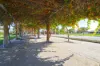 39 Lanagan Drive, Baldivis WA 6171-Image