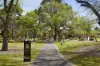 39 Lansdowne Road, St Kilda East, Vic 3183-Image