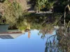 39 Livingstone street, Orbost, Vic 3888-Image