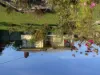 39 Livingstone street, Orbost, Vic 3888-Image
