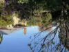 39 Livingstone street, Orbost, Vic 3888-Image