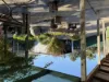 39 Livingstone street, Orbost, Vic 3888-Image