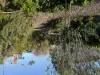 39 Livingstone street, Orbost, Vic 3888-Image