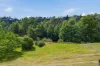 39 Main Street, Derby, Tas 7264-Image