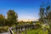 39 Meadowbrook Terrace, Drysdale, Vic 3222-Image