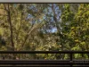 39 Melaleuca Drive, Brookwater, Qld 4300-Image