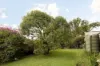 39 Newton Street, Grange, Qld 4051-Image