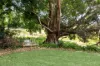 39 North Maleny Road, Maleny, Qld 4552-Image