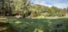 39 Porters Lane, Yetholme, NSW 2795-Image