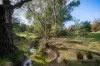 39 Porters Lane, Yetholme, NSW 2795-Image