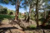 39 Porters Lane, Yetholme, NSW 2795-Image
