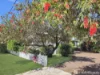 39 Queens Beach Esplanade, Bowen, Qld 4805-Image