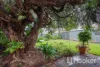 39 Railway Terrace, Edwardstown, SA 5039-Image