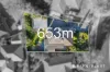 39 Regnans Avenue, Endeavour Hills, Vic 3802-Image
