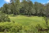 39 Riversleigh Road, Bellbowrie, Qld 4070-Image