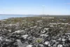 39 Service Street, Hampton, Vic 3188-Image