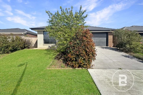 39 Silver Leaf Way Way, Delacombe, Vic 3356