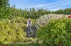39 Slab Road, Cygnet, Tas 7112-Image
