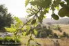 39 Slab Road, Cygnet, Tas 7112-Image