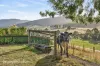 39 Slab Road, Cygnet, Tas 7112-Image