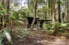 39 Smiths Road, Tinbeerwah, Qld 4563-Image