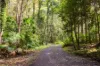 39 Smiths Road, Tinbeerwah, Qld 4563-Image